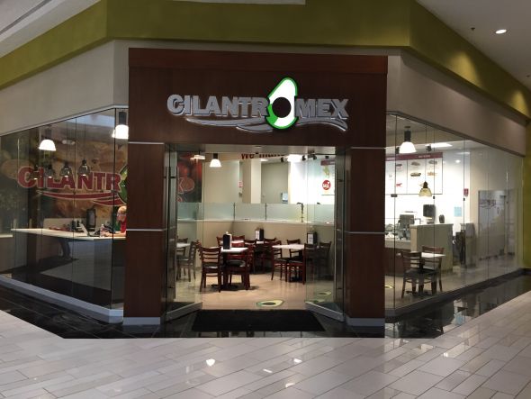 cilantro open