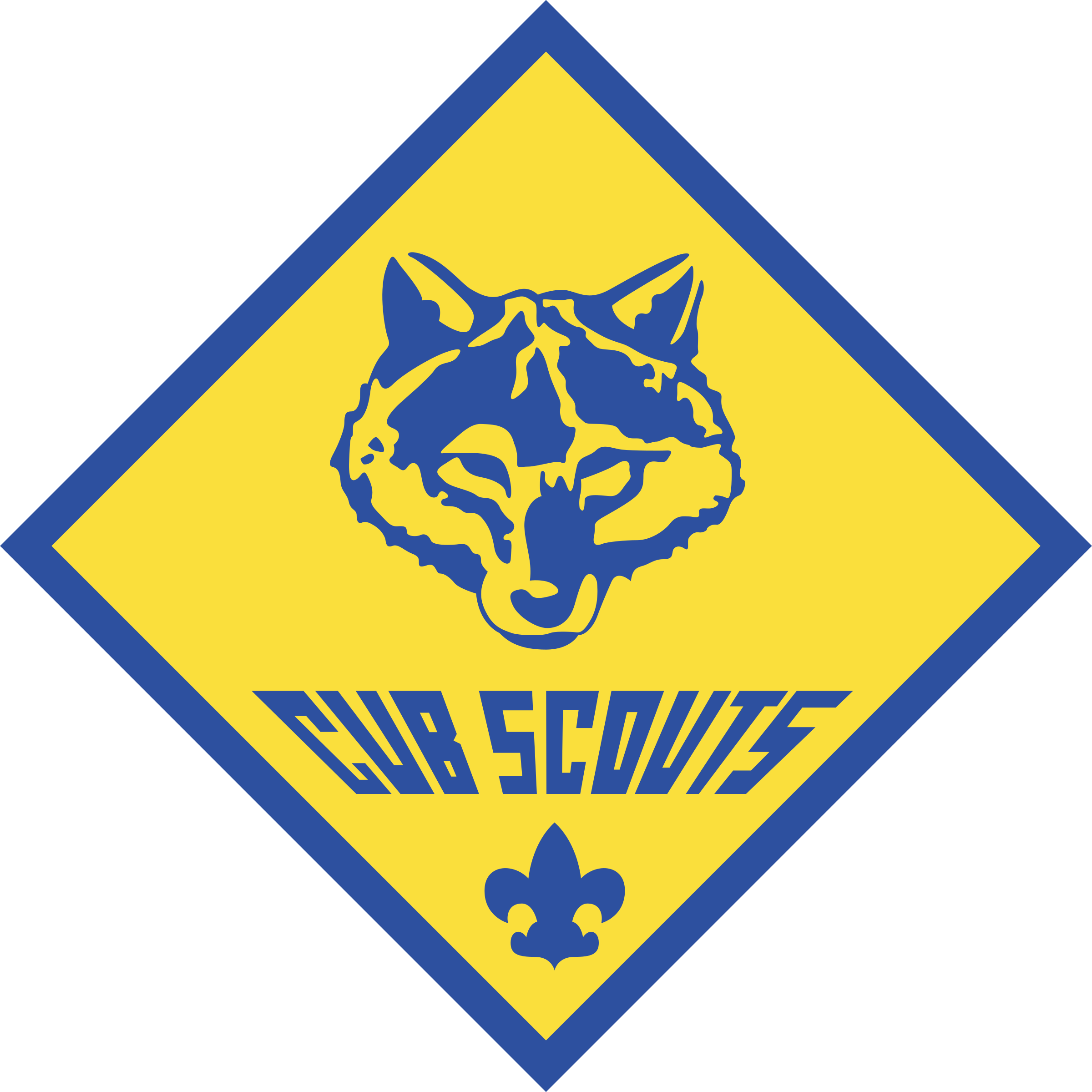 Cub Scouts