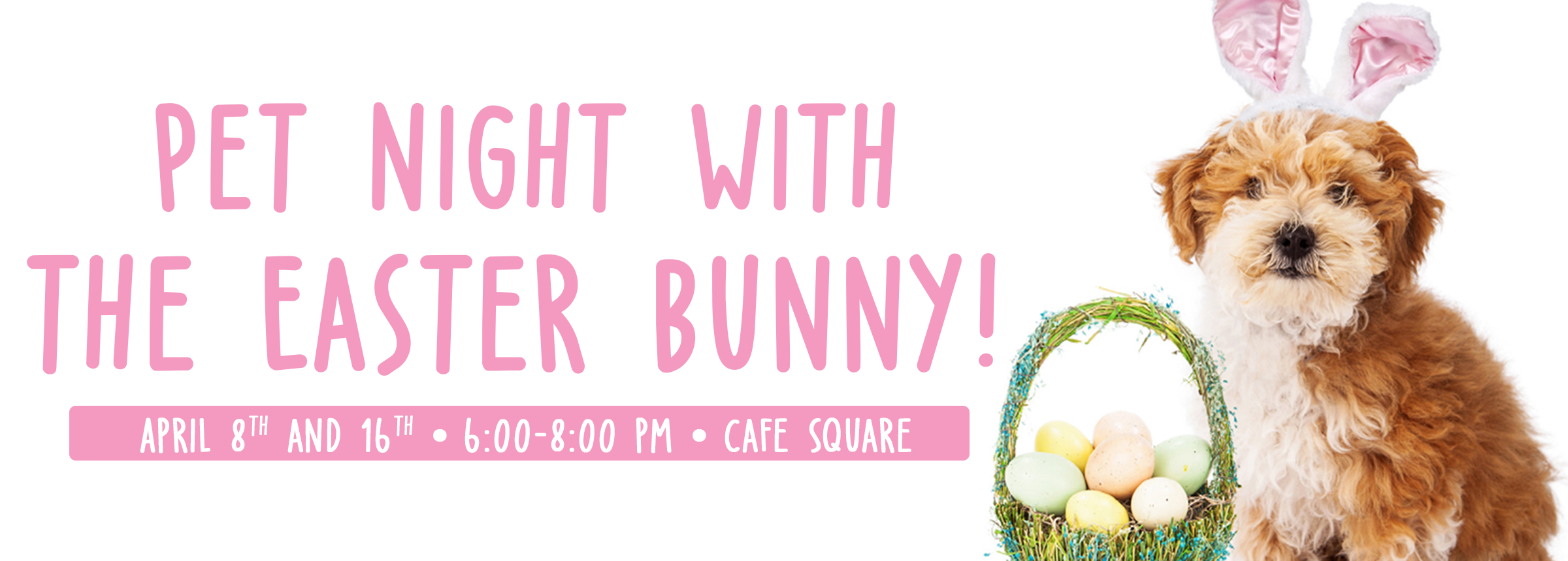 Pet night with the Easter Bunny Pet night with the Easter Bunny
