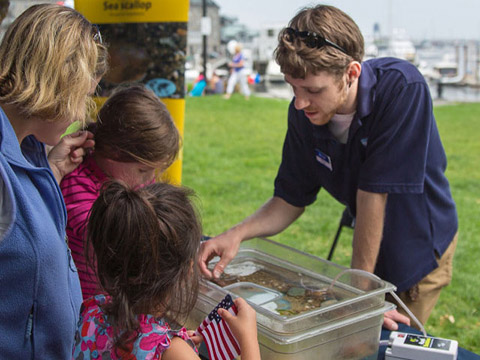 2017 sci march grass tidepool