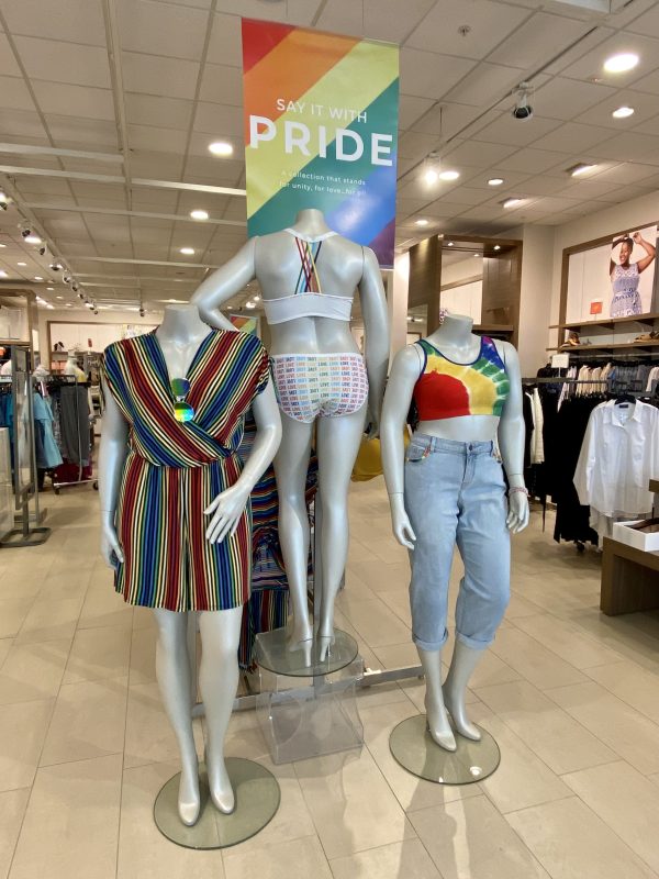 Holyoke Mall Lane Bryant Pride Collection
