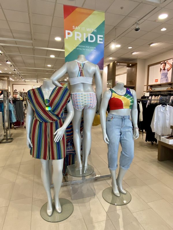 IMG_5647 Holyoke Mall Lane Bryant Pride Collection