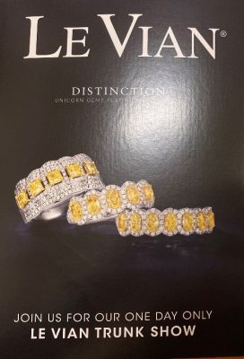 Macy's levian 2025