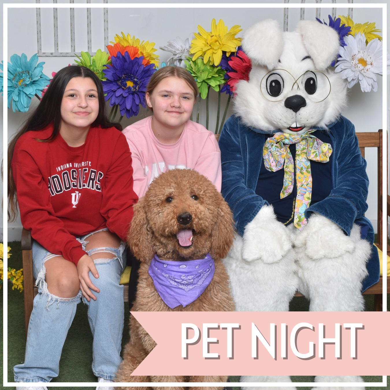 Pet Night Event Web Page Header