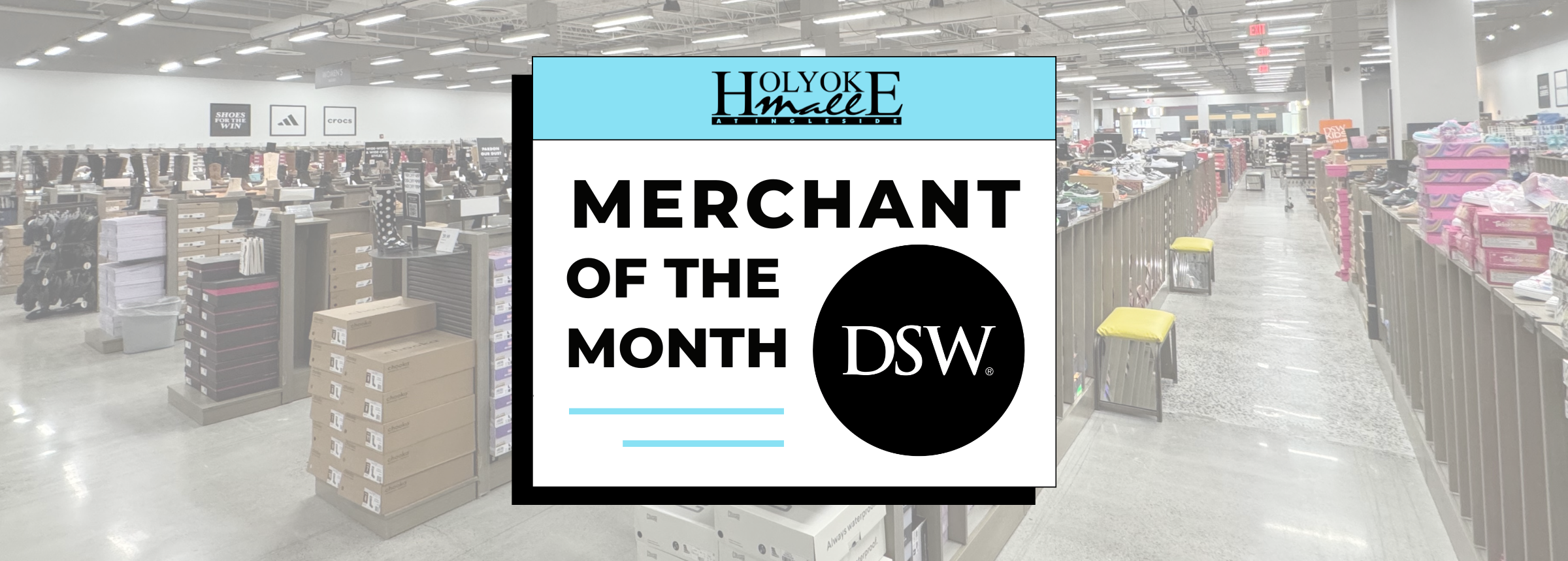 Merchant of the Month Blog Header DSW