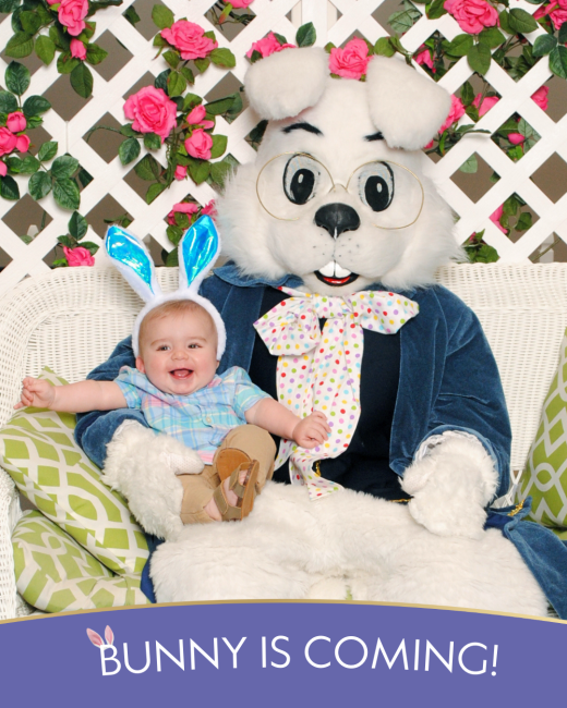 E2026 Social Creatives